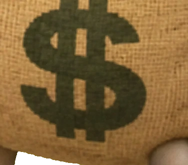 the dollar sign printed on the bag, which is a uniform and not a personal statement